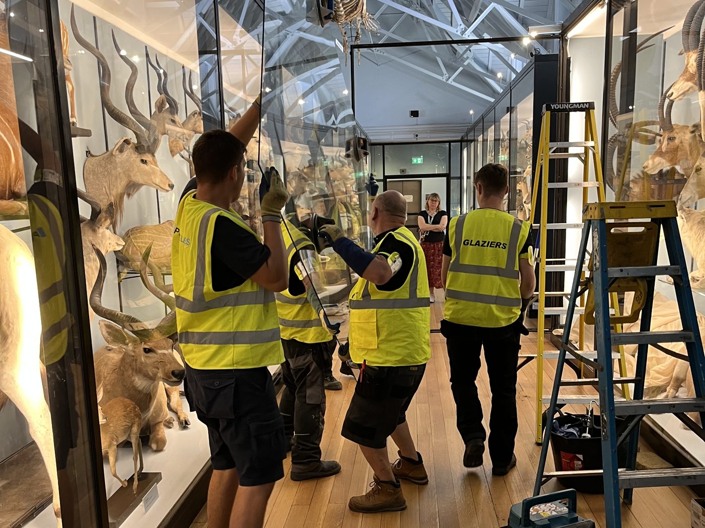 Photo for Qualified Glaziers